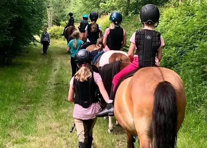 Lille-hus Apartament *